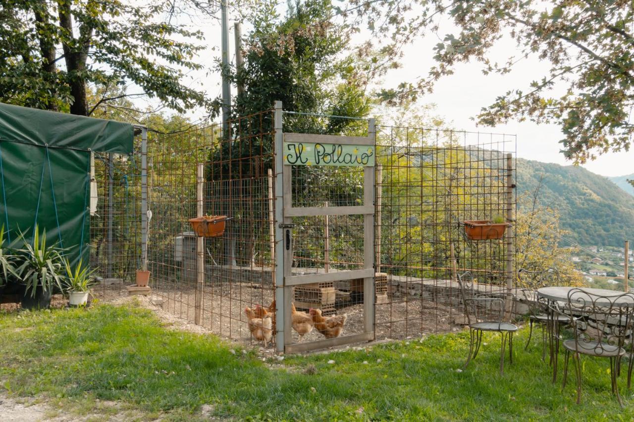 Agriturismo Riva Dei Coz Sequsino 外观 照片