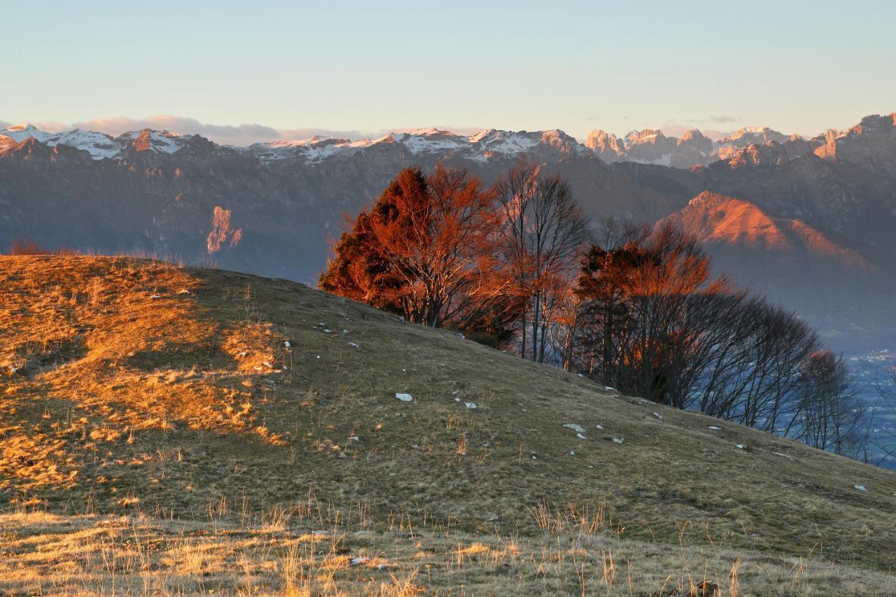 Agriturismo Riva Dei Coz Sequsino 外观 照片