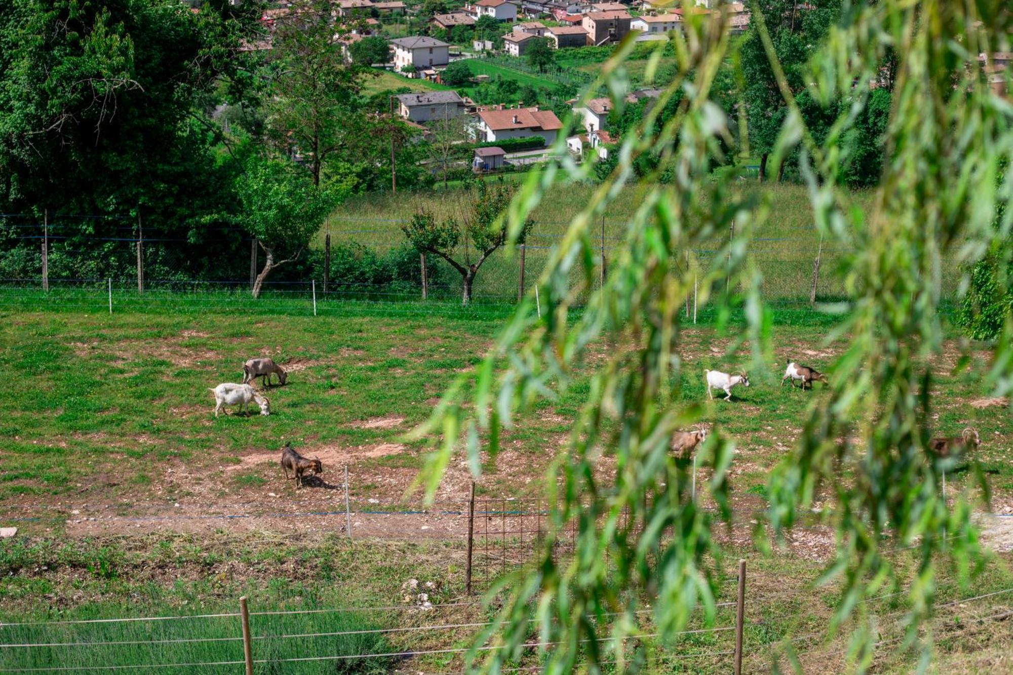 Agriturismo Riva Dei Coz Sequsino 外观 照片