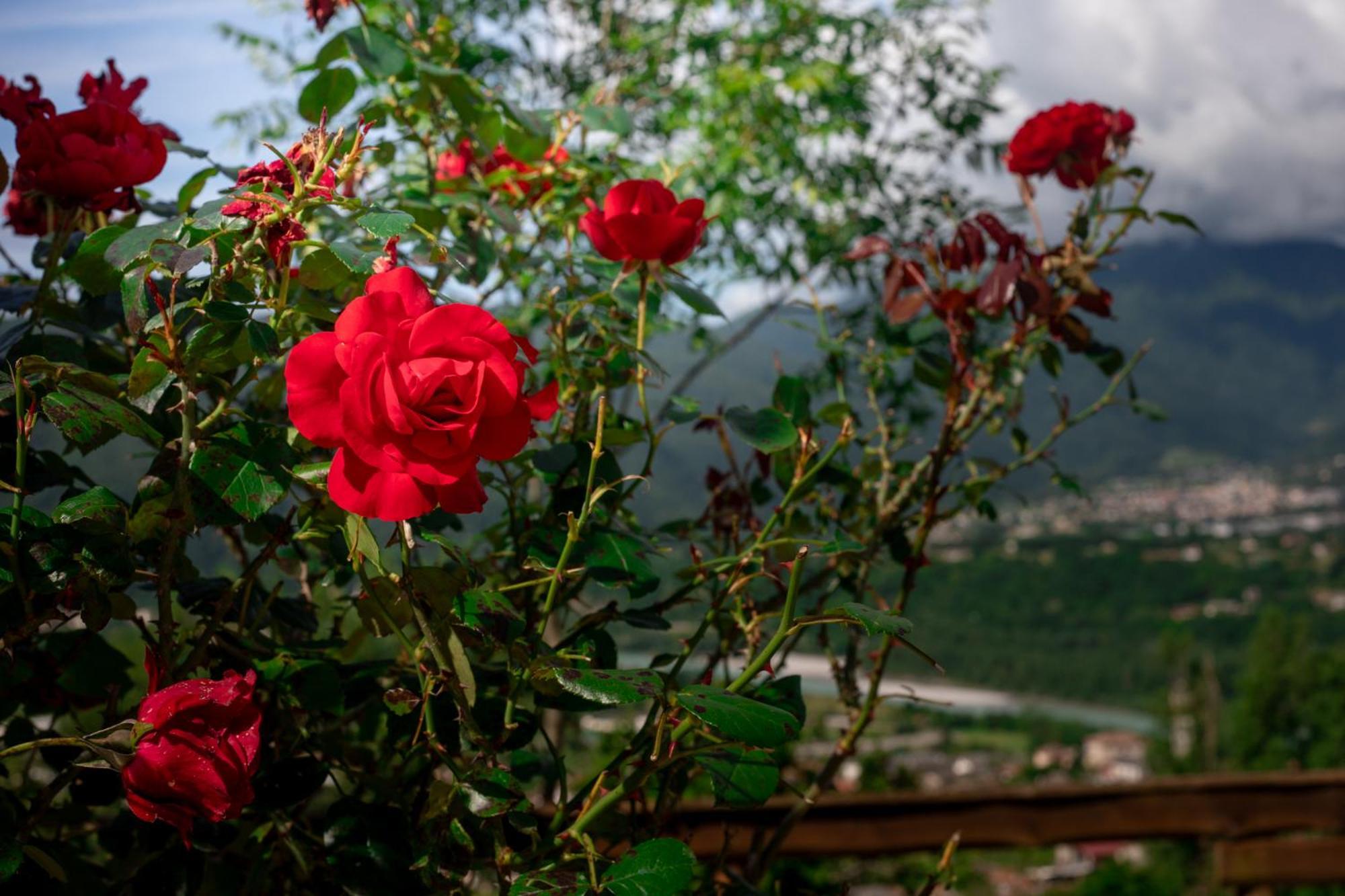 Agriturismo Riva Dei Coz Sequsino 外观 照片